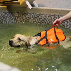 Жилет страховочный Атлантик